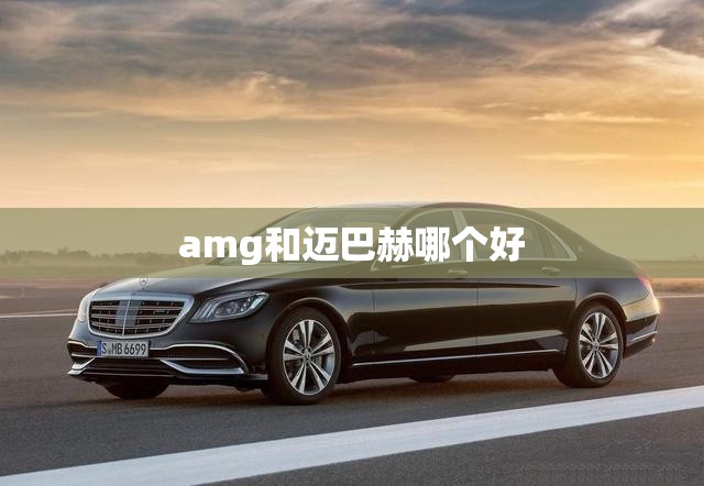 amg和迈巴赫哪个好/奔驰迈巴赫与amg区别 amg和迈巴赫哪个好/奔驰迈巴赫与amg区别