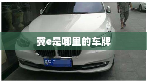 乐山电力股票历史行情/乐山电力股票2021目标价