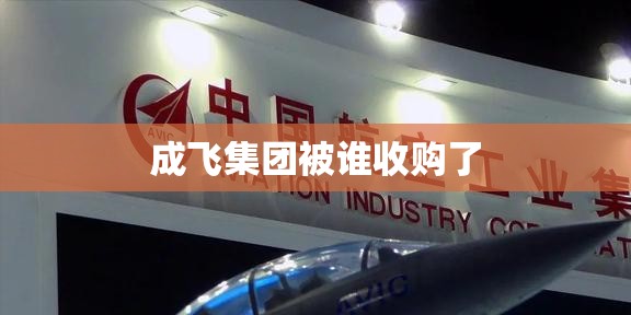 成飞集团被谁收购了 成飞集团被谁收购了