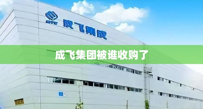 成飞集团被谁收购了 成飞集团被谁收购了