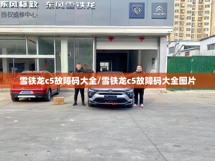雪铁龙c5故障码大全/雪铁龙c5故障码大全图片