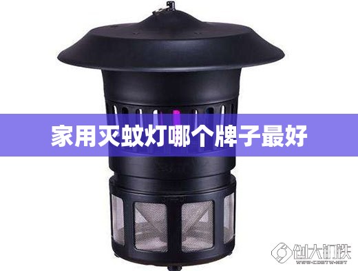 家用灭蚊灯哪个牌子比较好/家用灭蚊灯有什么缺点和危害
