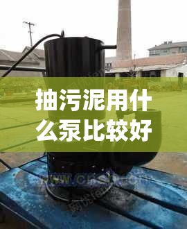 综合实践活动《营养早餐》