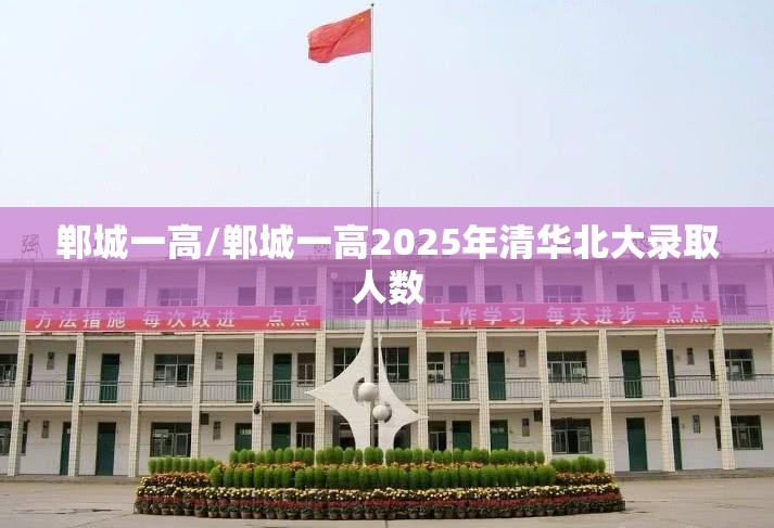 郸城一高/郸城一高2025年清华北大录取人数