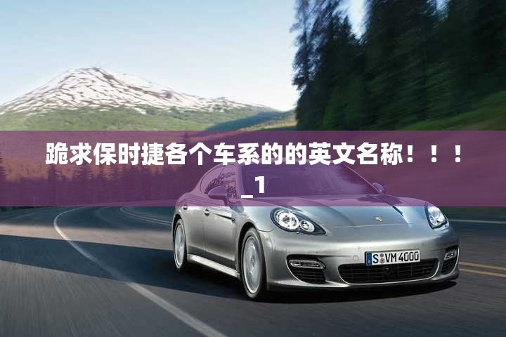 跪求保时捷各个车系的的英文名称！！！_1