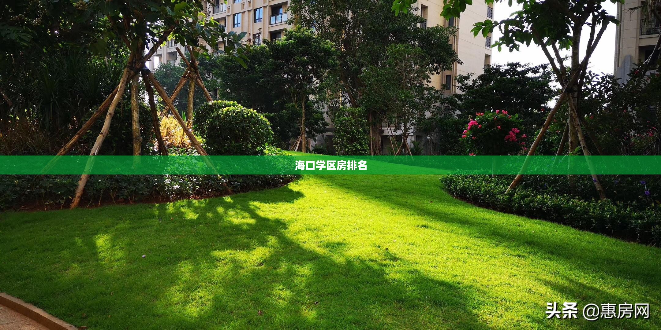 海口学区房排名