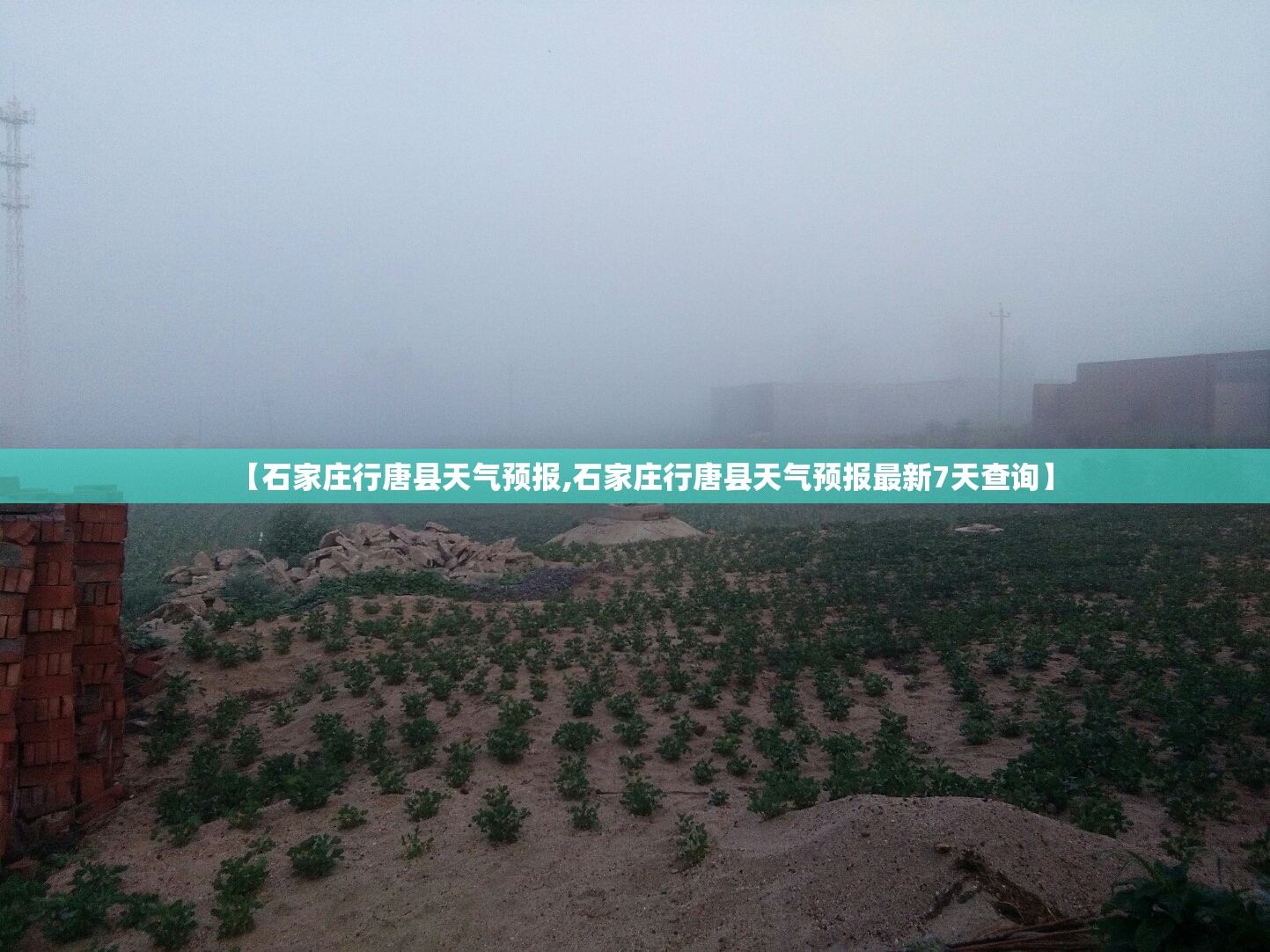 登录广东最强十大台风排行