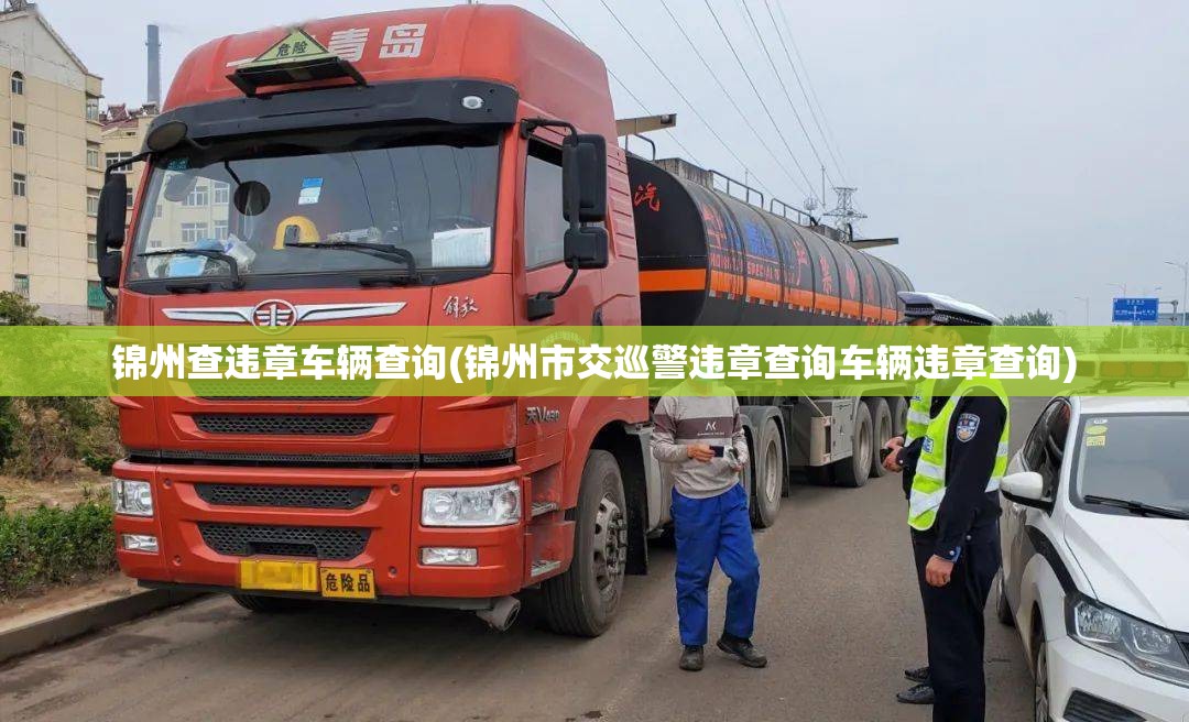 锦州查违章车辆查询(锦州市交巡警违章查询车辆违章查询)
