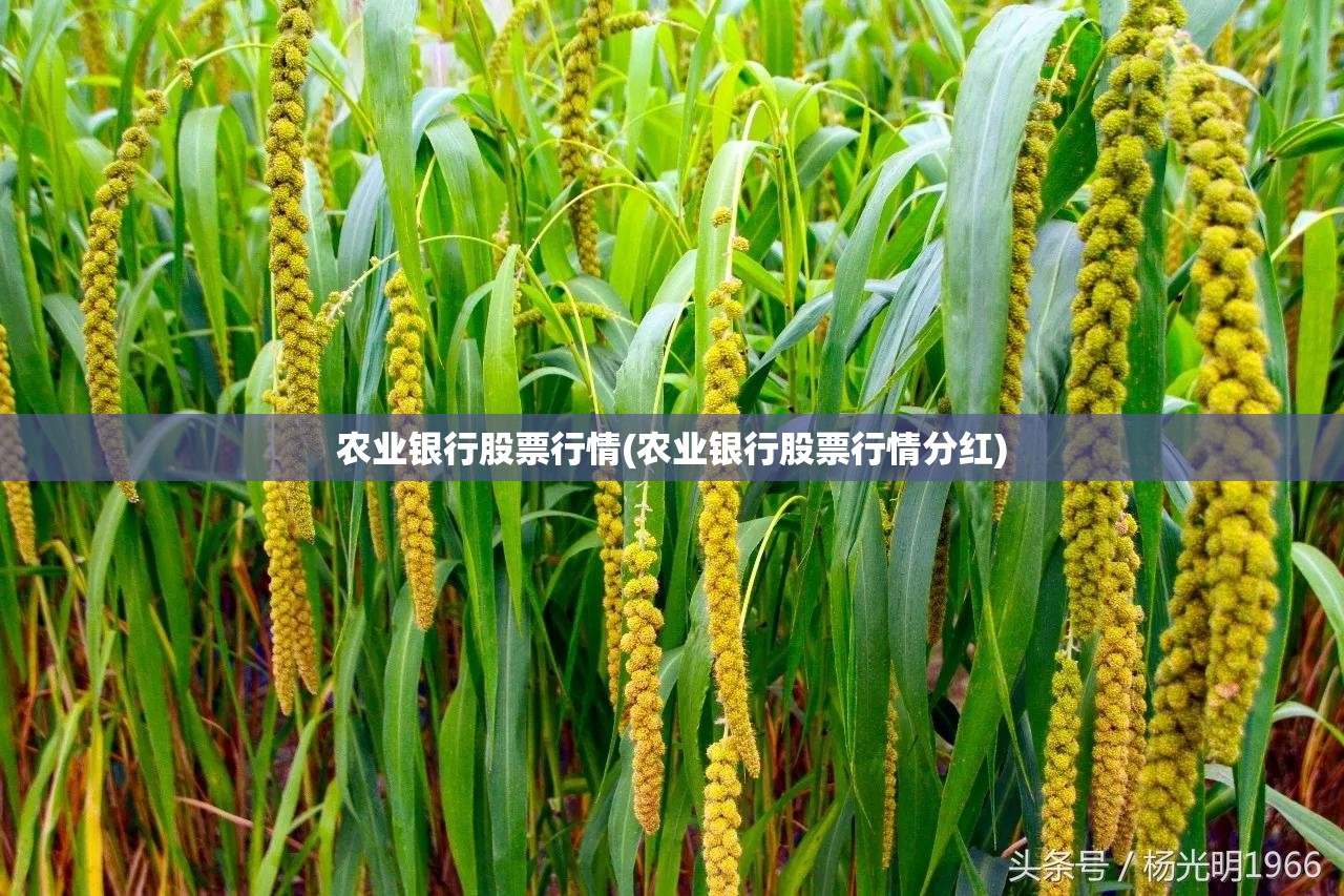 锦州查违章车辆查询(锦州市交巡警违章查询车辆违章查询)