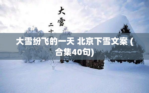 大雪纷飞的一天 北京下雪文案 (合集40句)