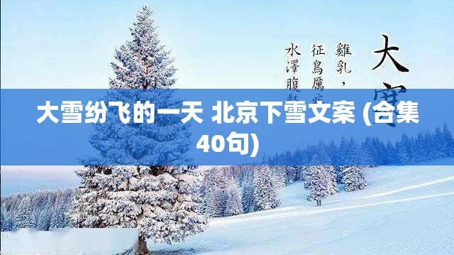 大雪纷飞的一天 北京下雪文案 (合集40句)