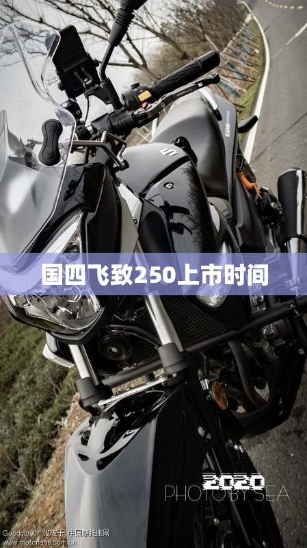 国四飞致250上市时间 国四飞致250上市时间