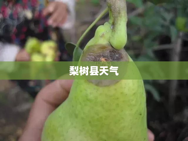 梨树县天气/梨树县天气预报最新今天 梨树县天气/梨树县天气预报最新今天