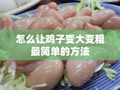 【怎么让鸡子变大变粗最简单的方法,怎么让鸡子变大变粗最简单的方法视频】 【怎么让鸡子变大变粗最简单的方法,怎么让鸡子变大变粗最简单的方法视频】