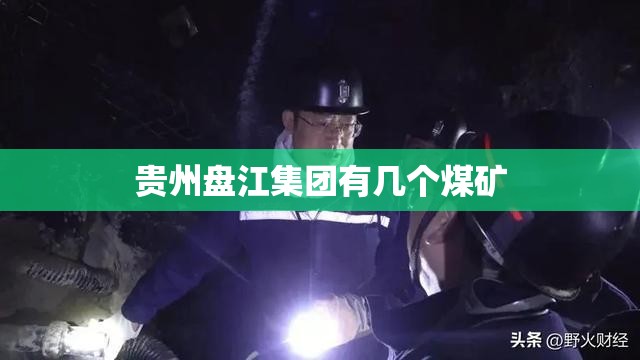贵州盘江集团有几个煤矿 贵州盘江集团有几个煤矿