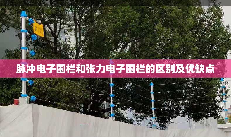 自己开家5元店、10元店从哪里进货比较好