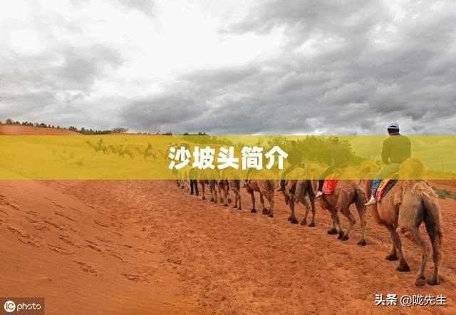 哈弗初恋是什么车/哈弗初恋寓意