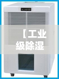 台风实时动态路径查询(台风实时动态路径发布)