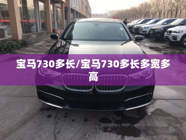 章基嘉的人物经历