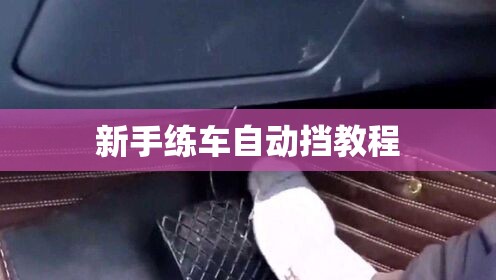 新手练车自动挡教程 新手练车自动挡教程