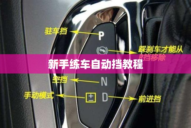 新手练车自动挡教程 新手练车自动挡教程
