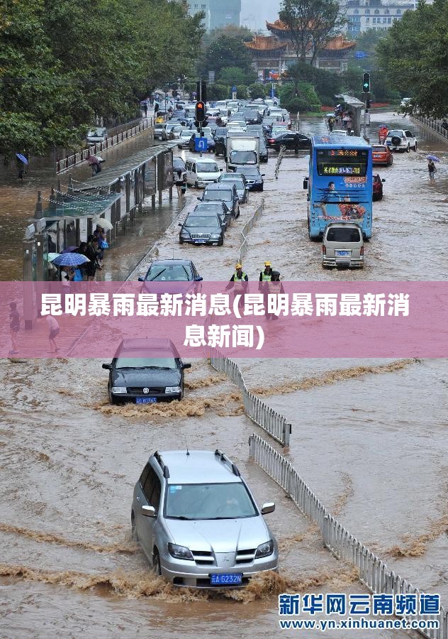 五菱货车双排厢式货车(五菱双排带货箱小货车)