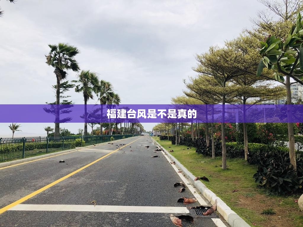 福建台风是不是真的
