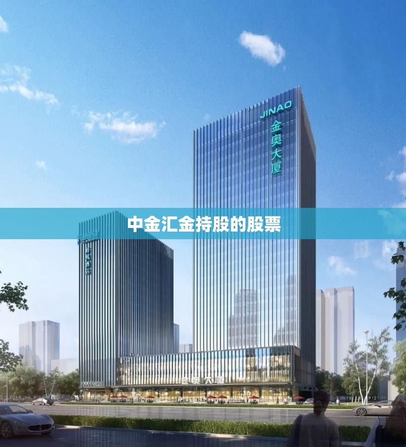 中金汇金持股的股票(中金和汇金的持仓报告) 中金汇金持股的股票(中金和汇金的持仓报告)