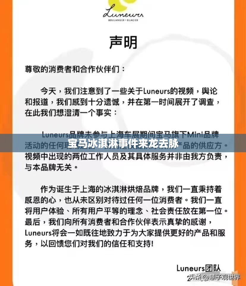 宝马冰淇淋事件来龙去脉(宝马冰雪试驾报名)