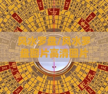 今天新增本土确诊病例多少例