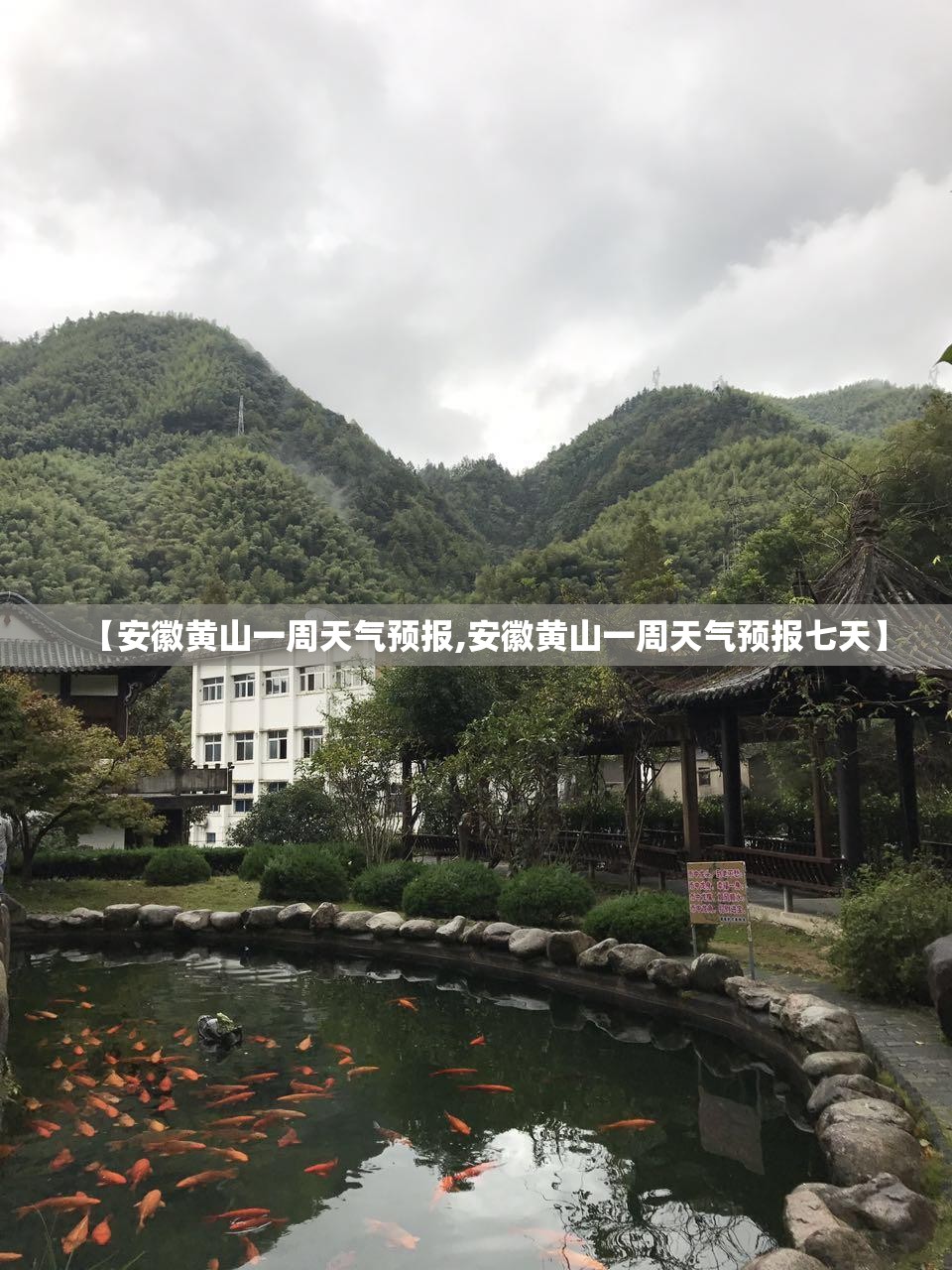 【安徽黄山一周天气预报,安徽黄山一周天气预报七天】