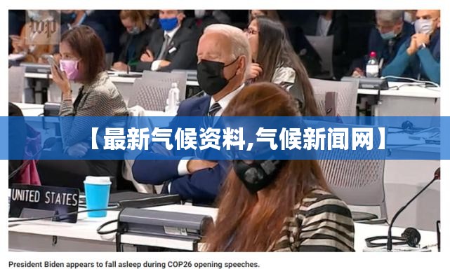 普通木工板费用60元(木工板多少钱一平)